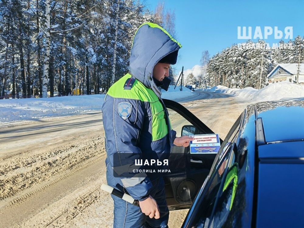 Шарьинские автоинспекторы призвали водителей к соблюдению дорожной безопасности — Шарья — фото 2