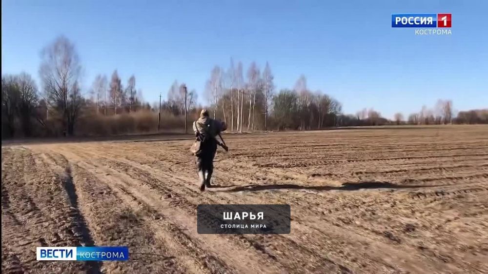 В Костромской области подвели итоги масштабной межведомственной операции «Выстрел» — Шарья