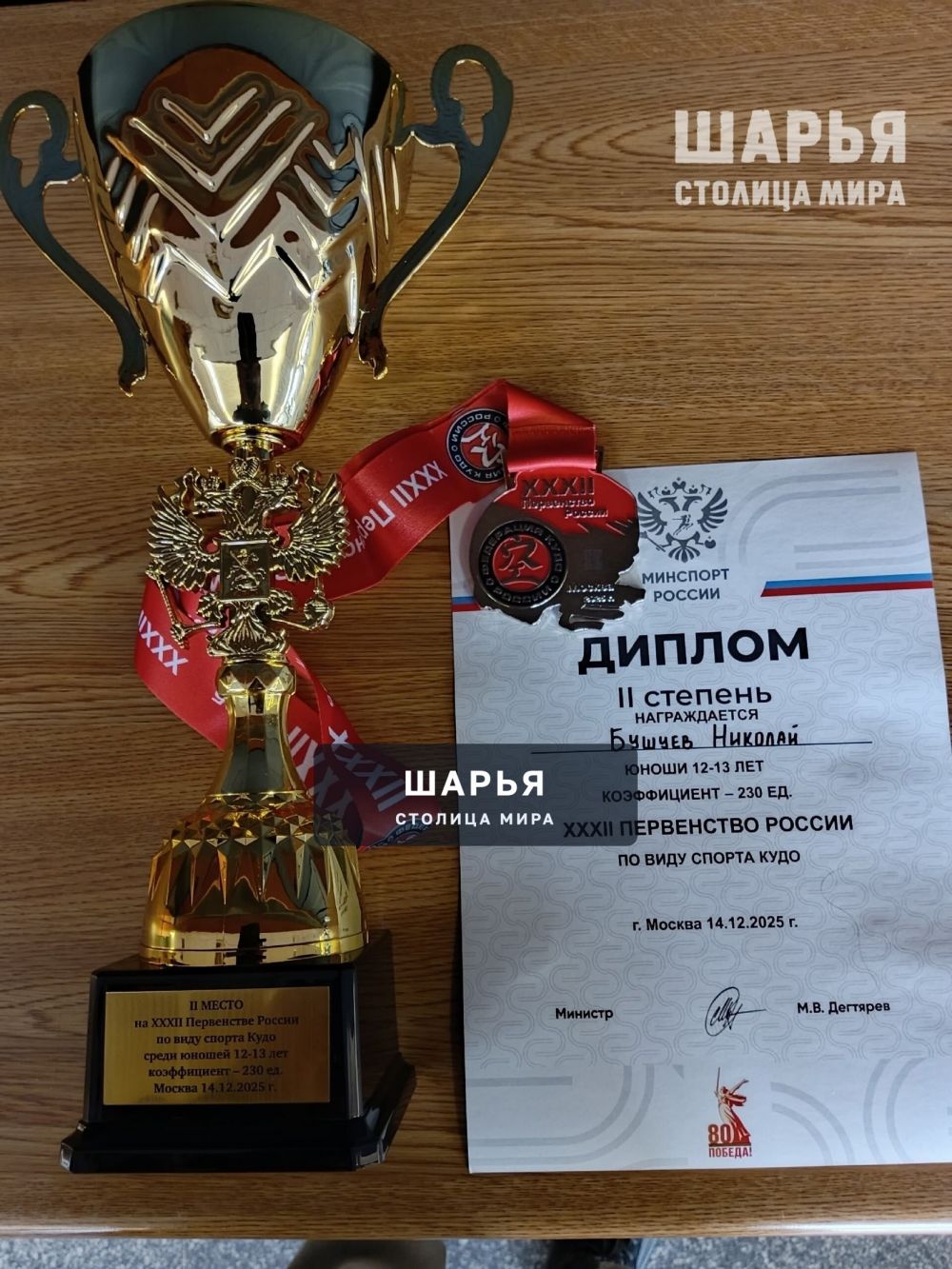 Шарьинец вошел в топ-3 страны по кудо — Шарья — фото 6