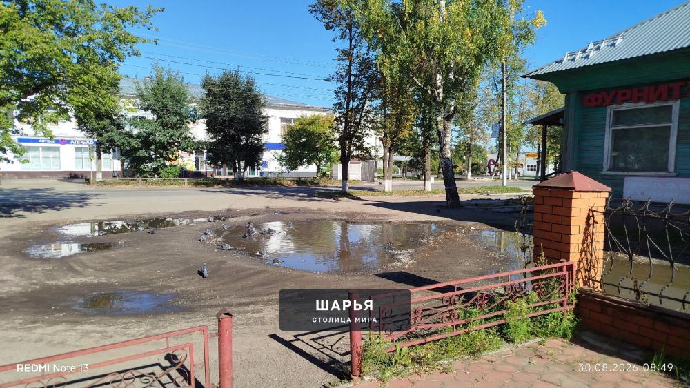 Скоро утки наверное прилетят — Шарья