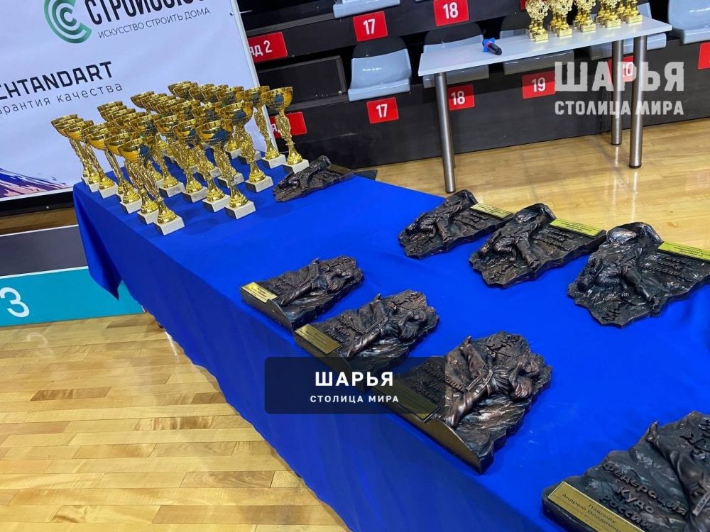 Спартанцы Шарьи отобрались в сборную ЦФО на Первенство России по Кудо — Шарья — фото 4