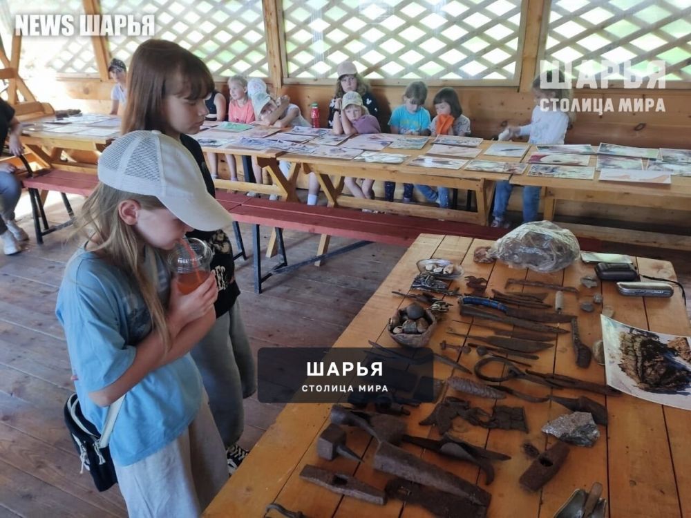 На один день Городской парк Шарьи стал местом притяжения для юных исследователей — Шарья — фото 2