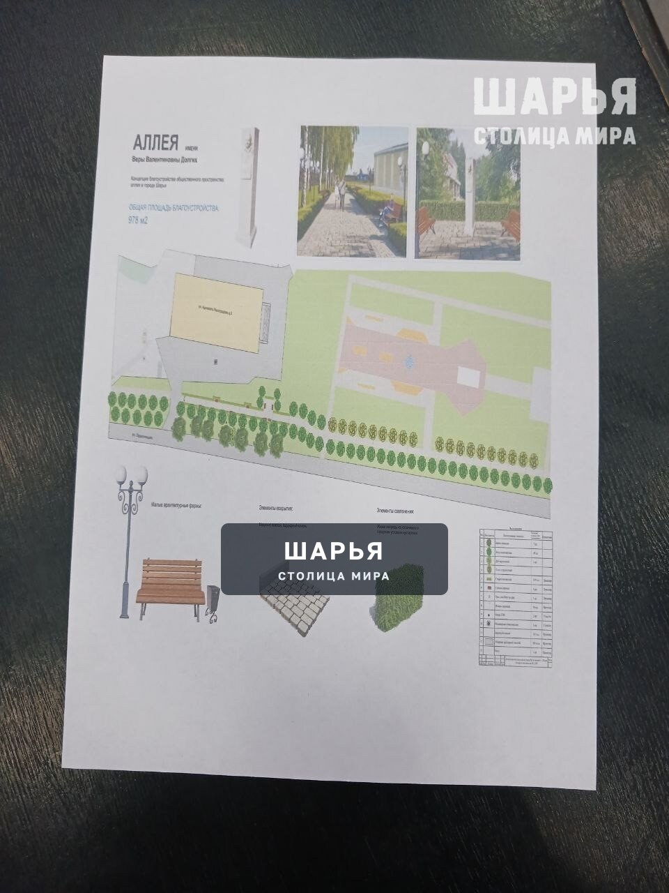 Благоустройство Аллеи Долгих, юбилей города и вывоз мусора - общественники обсудили важные… — Шарья — фото 3