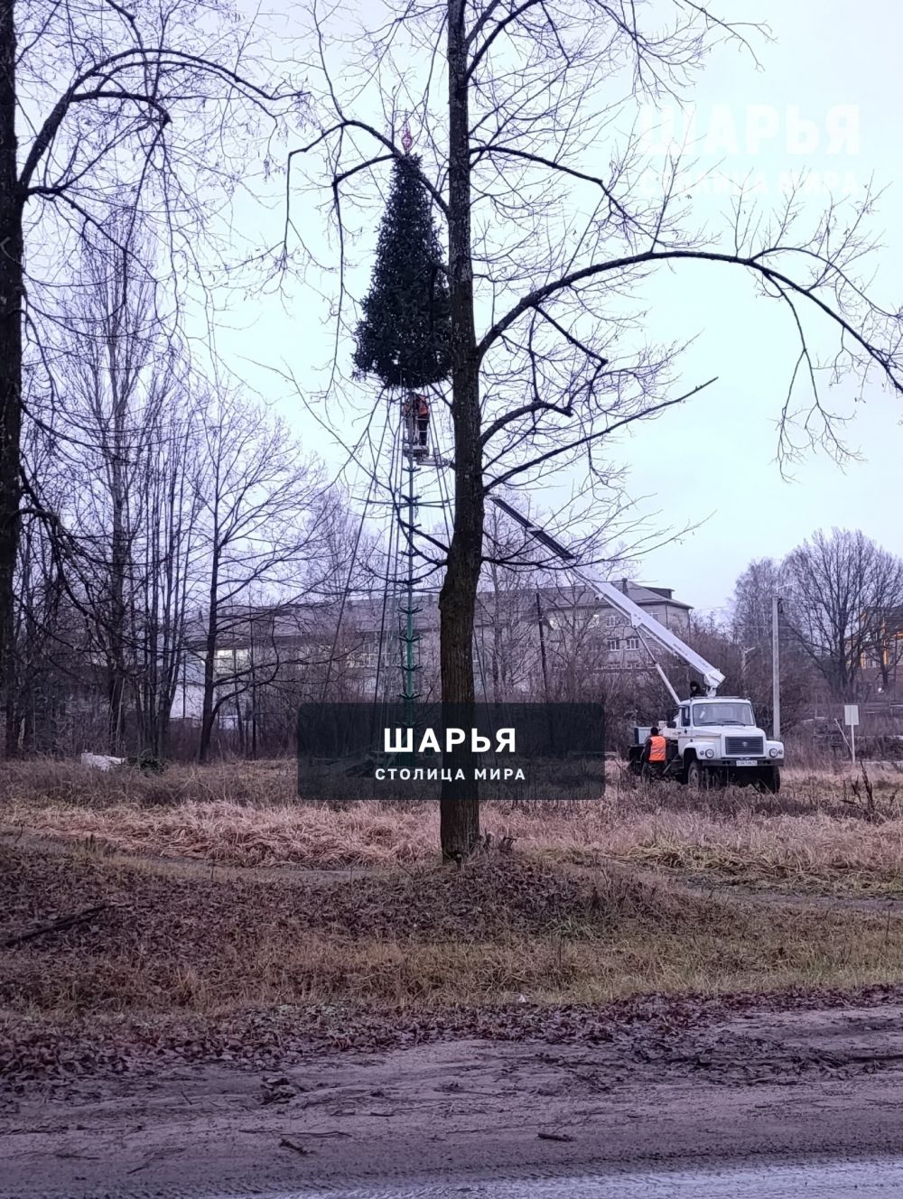 Новый год к нам мчится, ёлочка пушится — Шарья