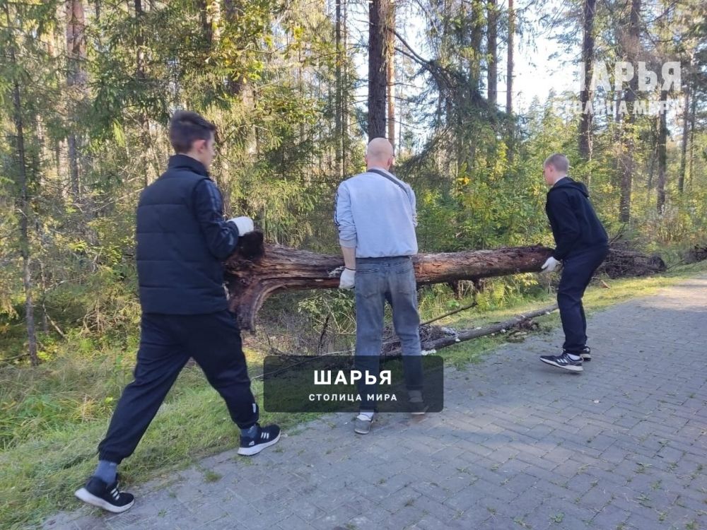 Субботник прошел в шарьинском Городском парке культуры и отдыха — Шарья — фото 5