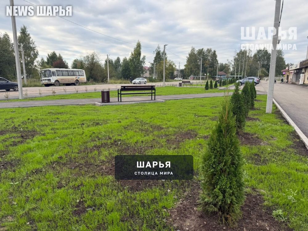 Шарьинцев приглашают 9 сентября на церемонию открытия Морского сквера — Шарья — фото 6