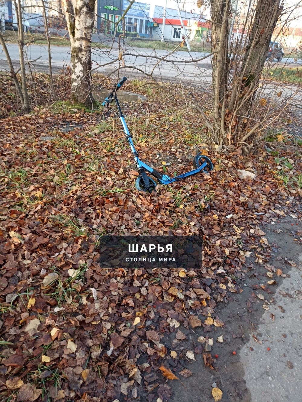 Второй день стоит, никто не терял? — Шарья