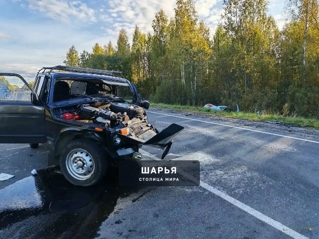 Мужчина погиб в ДТП в Шарьинском районе — Шарья — фото 4