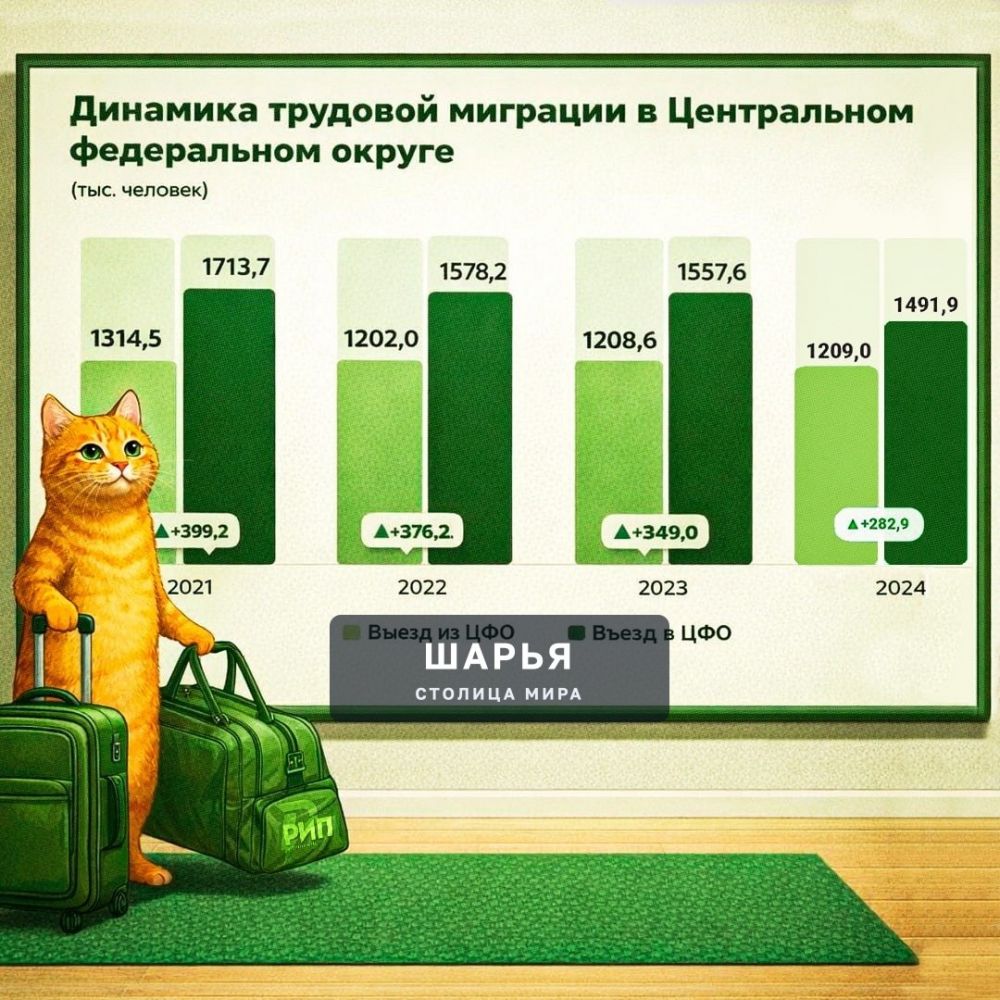 Зумеры массово уезжают из мегаполисов назад домой — «жить, а не выживать» становится трендом… — Шарья