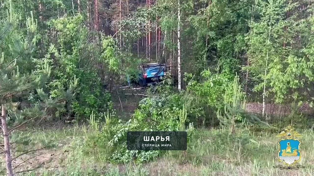 Сегодня ночью в регионе произошло очередное ДТП с участием сохатого — Шарья
