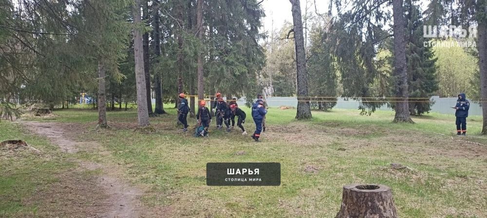 Школьники Шарьинского района - бронзовые призеры — Шарья — фото 9