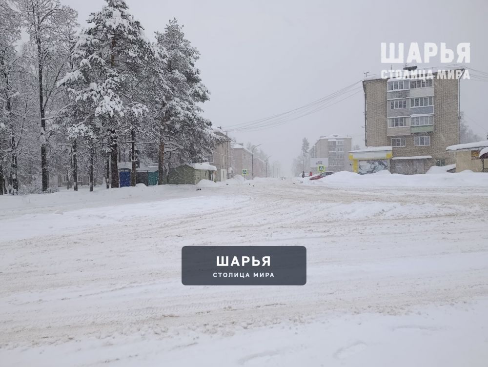 На улицах можно встретить лишь редких пешеходов да автолюбителей на нивах или джипах — Шарья — фото 2