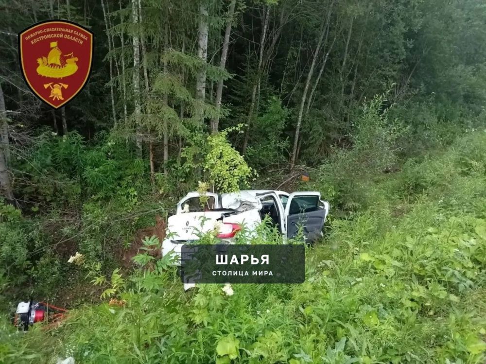 ДТП в Павинском округе: один человек погиб — Шарья — фото 1