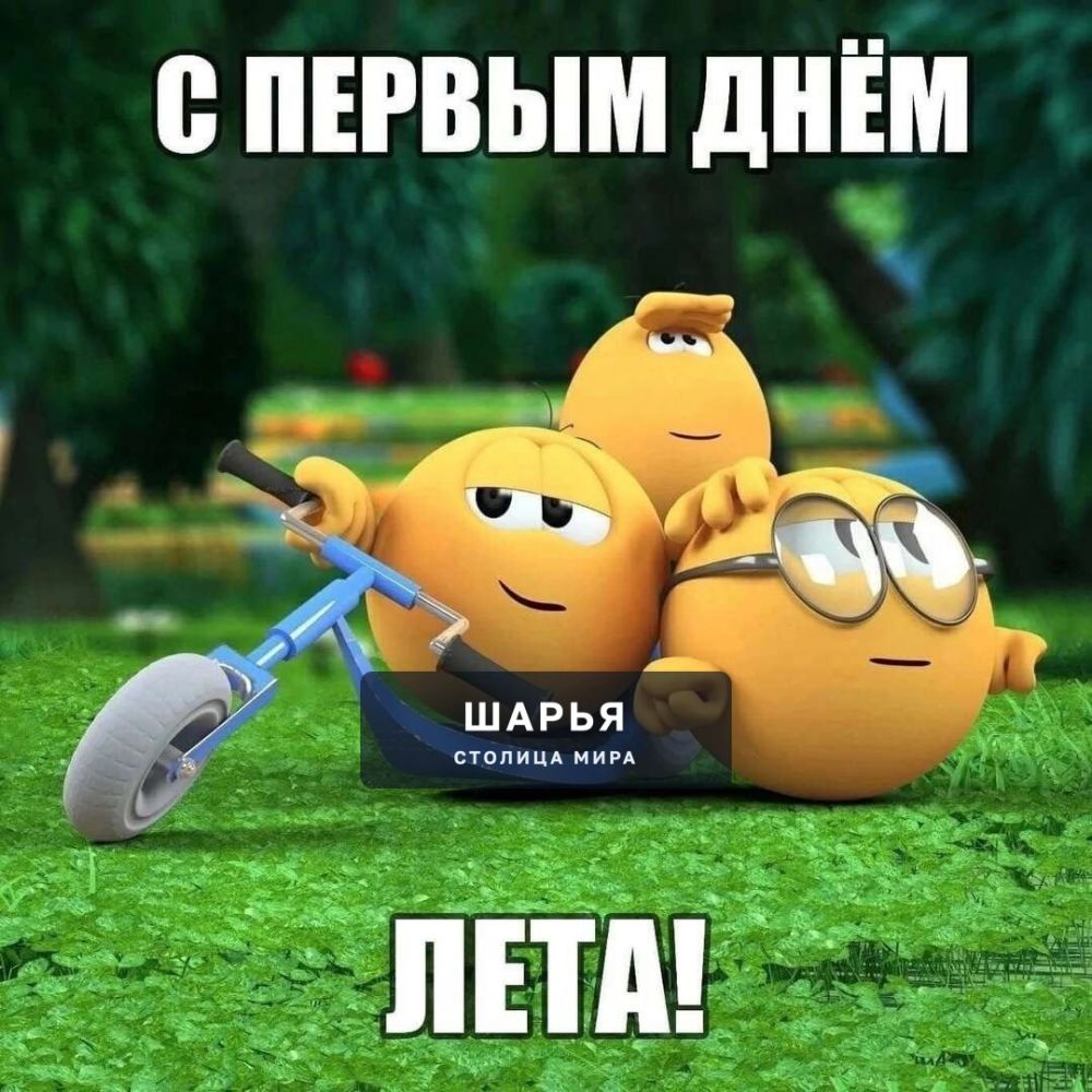 ЛЕТО НАСТУПИЛО, ШАРЬИНЦЫ! — Шарья