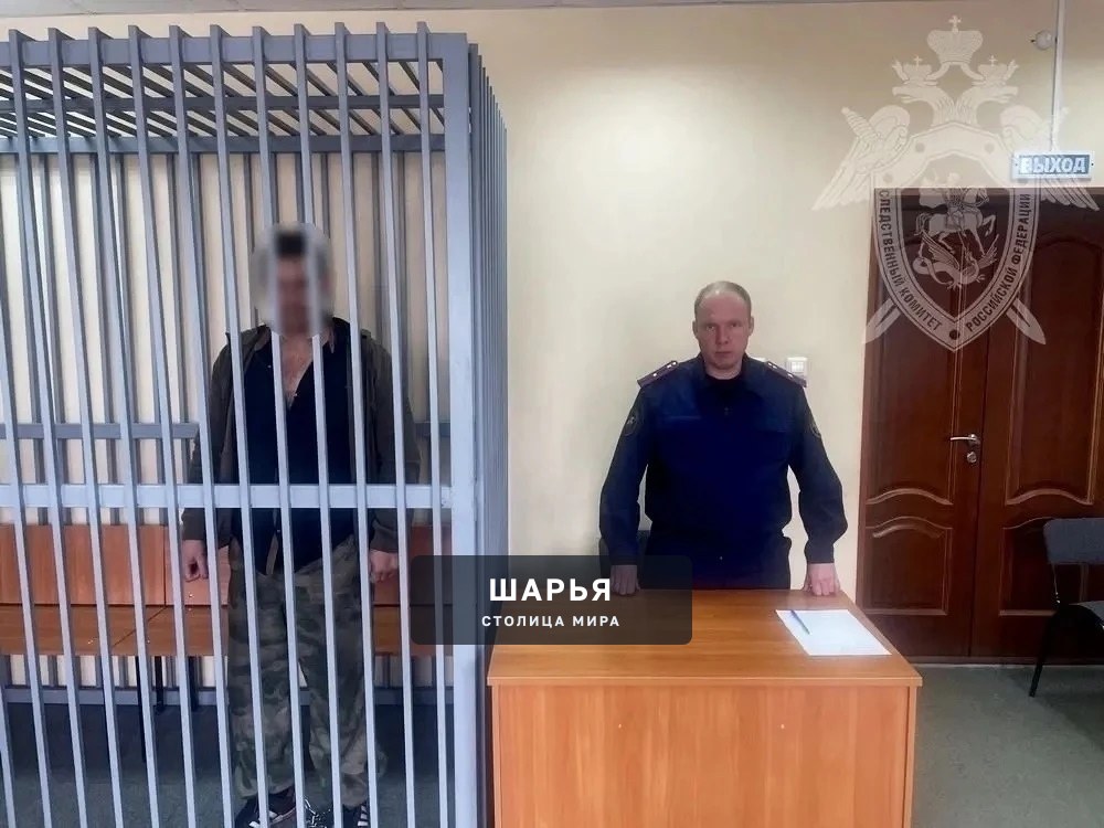 Выстрелил в голову и обокрал: в Шарье задержали подозреваемого в жестоком убийстве женщины — Шарья — фото 2