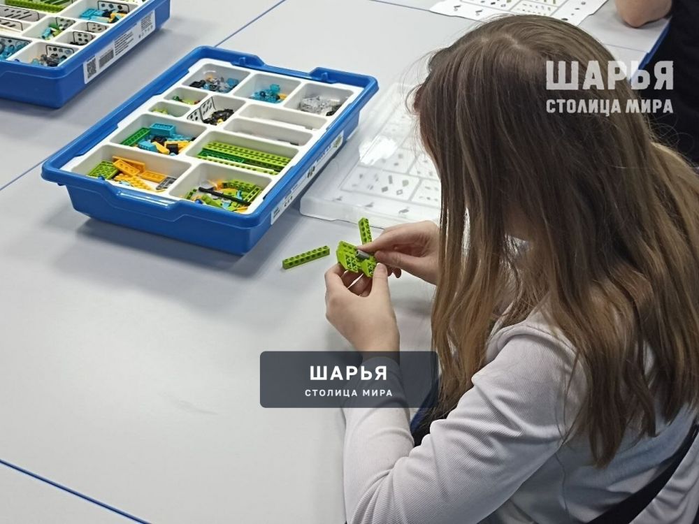 Каникулы с пользой от Шарьинского педколледжа — Шарья — фото 3
