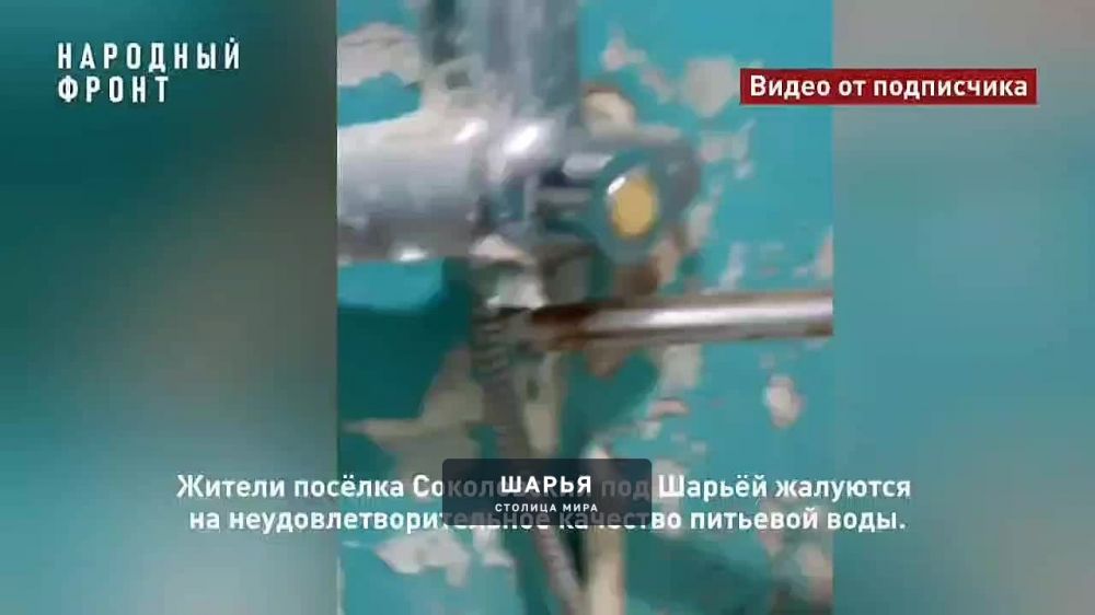 «Вода чистая, но, похоже, дюже ядовитая»: жители Шарьинского посёлка жалуются на воду — Шарья
