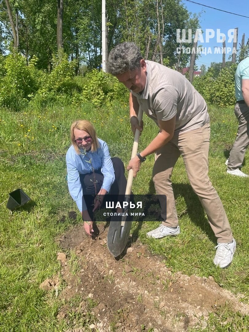 Память сохраняем на века — Шарья — фото 2