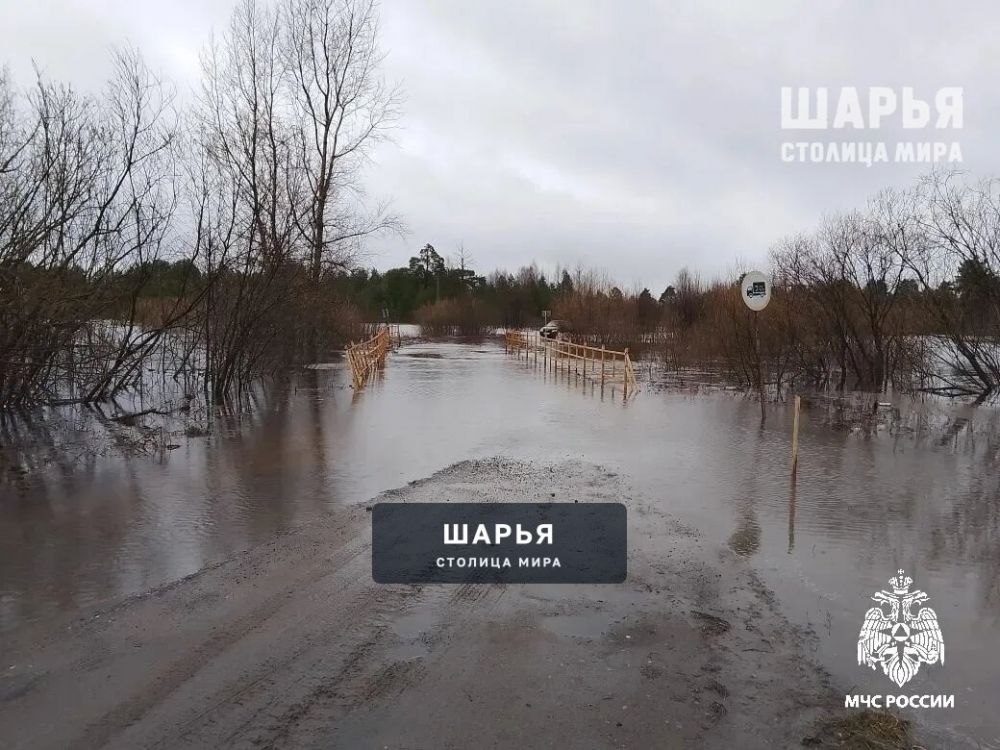 В районе дер. Михалкино подтопило конструктивно-затапливаемый мост — Шарья — фото 3