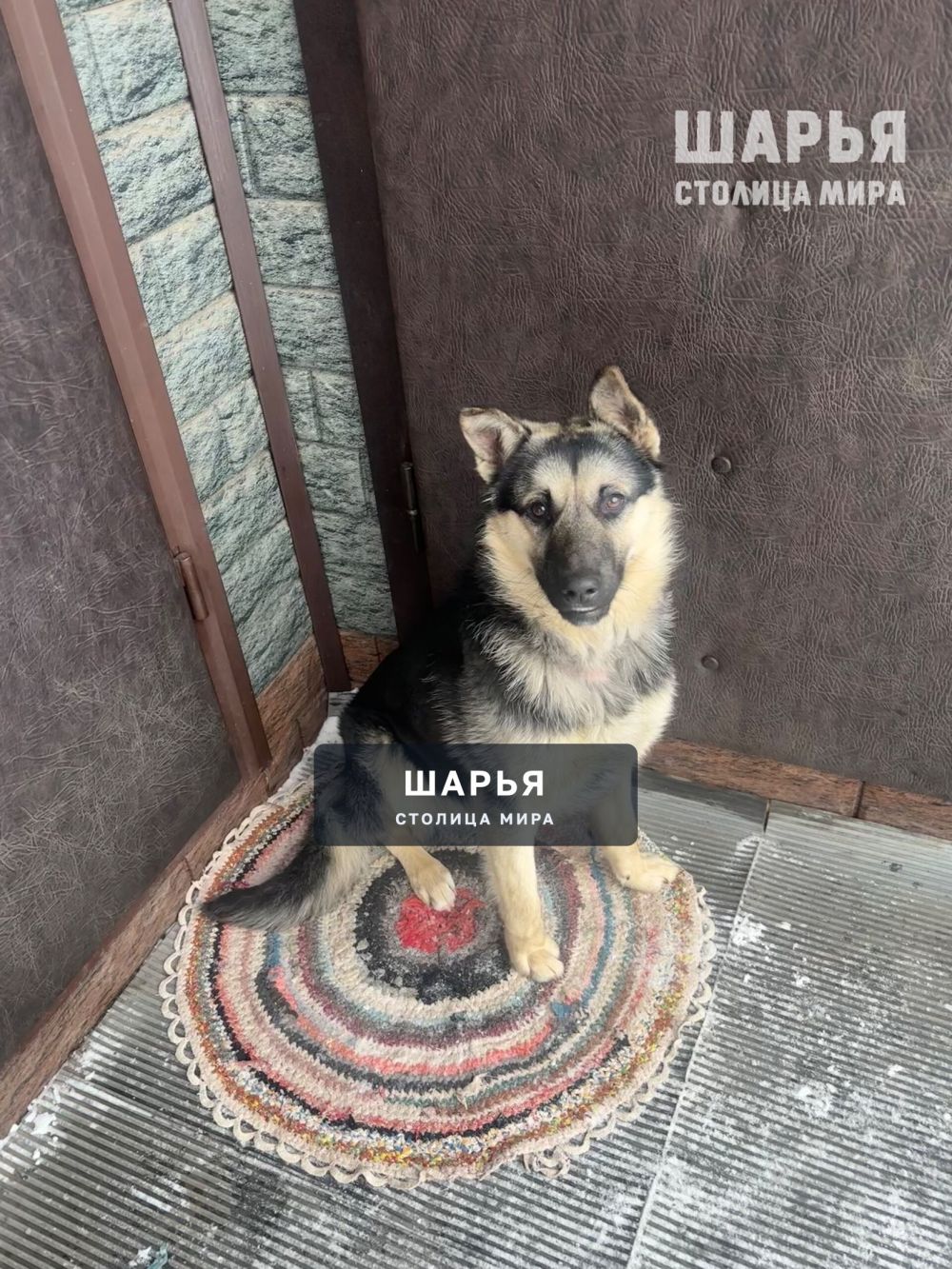 Возраст: 10 месяцев — Шарья