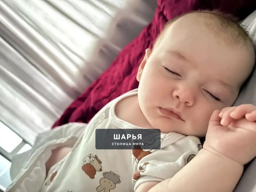 Костромская область заботится о парах, ставших родителями — Шарья — фото 1