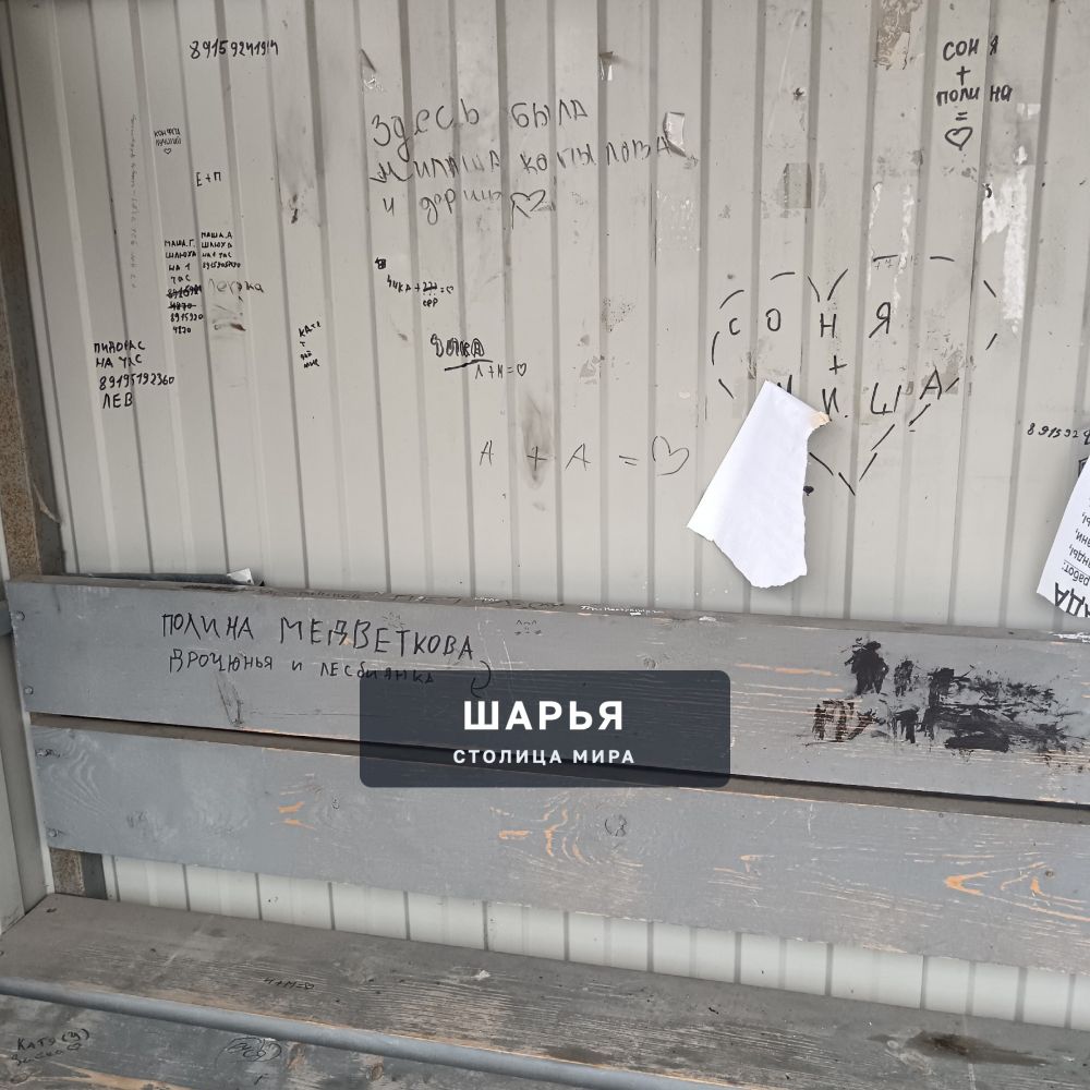 Самая гадкая и позорная остановка в городе. ул Ив Шатрова — Шарья — фото 3