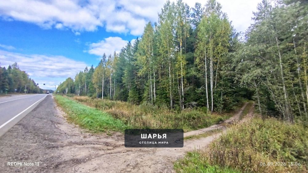 Очередная нычка от двуногих поросят была найдена в лесу — Шарья — фото 1