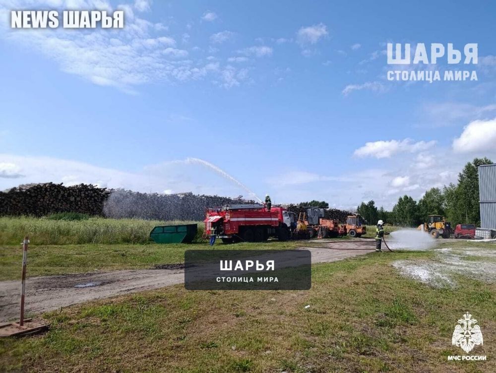В Шарье на одной из лесопилок загорелся штабель круглого леса — Шарья — фото 4