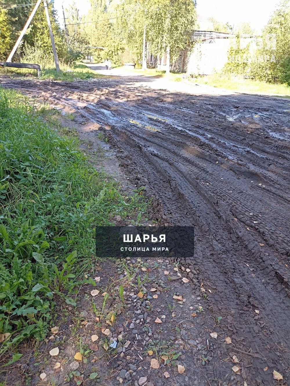 В Шарье без проблем даже в последний путь невозможно проводить — Шарья — фото 2