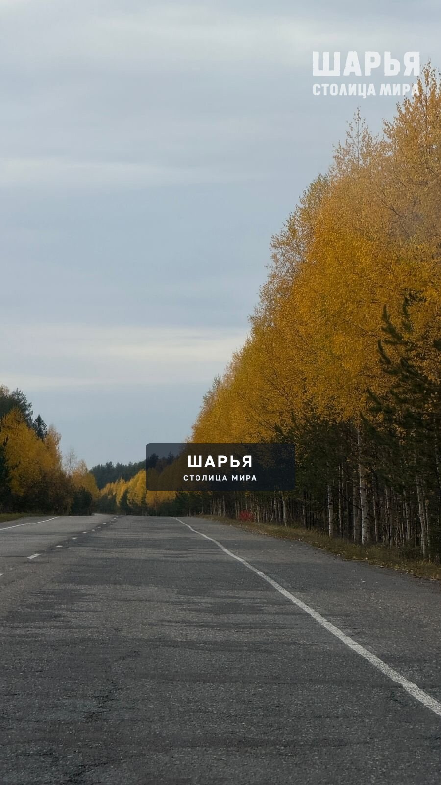 Последний теплый денек Трасса Шарья-Кострома — фото 3