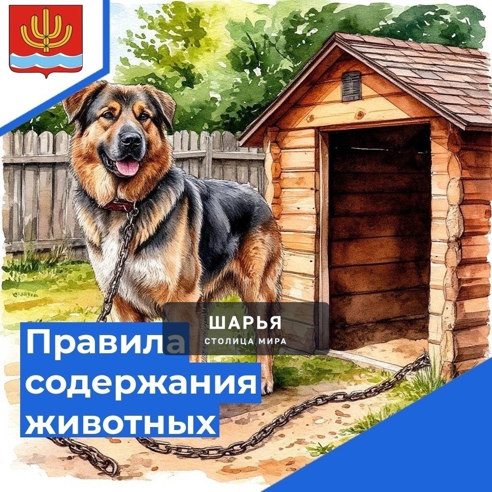 Уважаемые жители г. Шарья, владельцы собак!