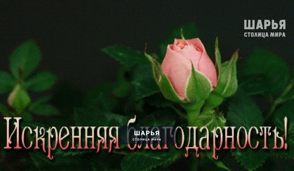 От всего сердца благодарим всех родных, друзей, одноклассников, коллег и просто знакомых… — Шарья