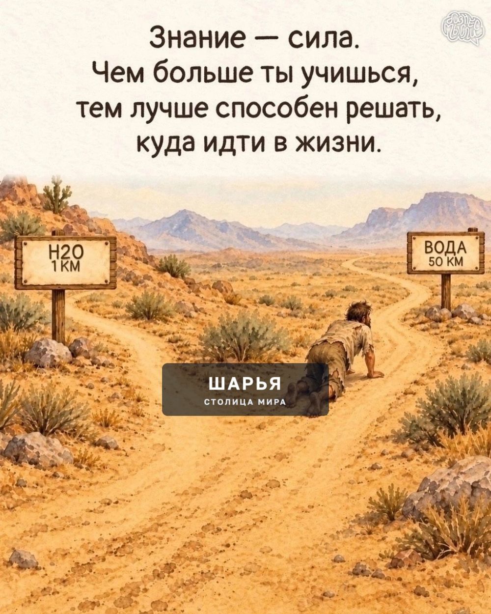 Эти картинки стоит посмотреть каждому — Шарья — фото 3