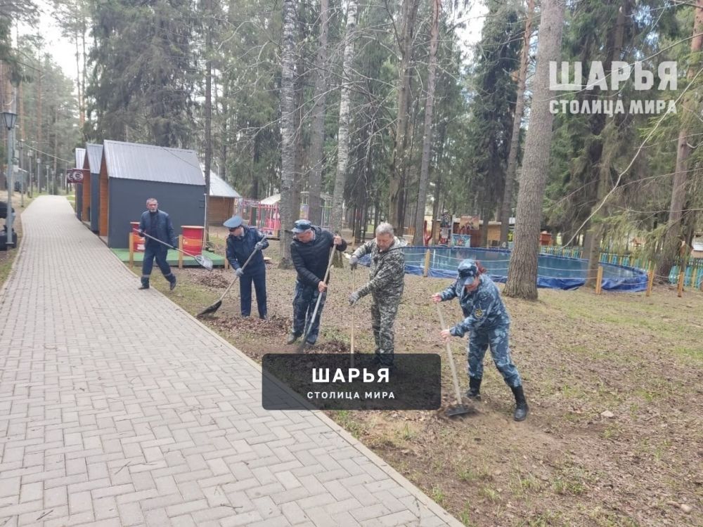 В Городском парке провели субботник — Шарья — фото 1