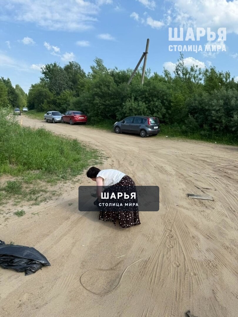 В Шарье прошли экологические акции «Чистый берег» и «Вода России» — Шарья — фото 3