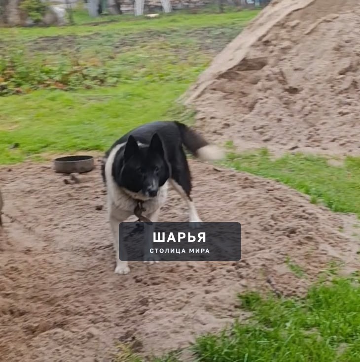 В районе центра — Шарья — фото 2
