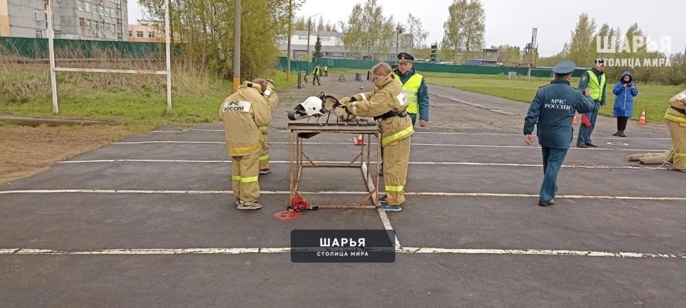 Школьники Шарьинского района - бронзовые призеры — Шарья — фото 4