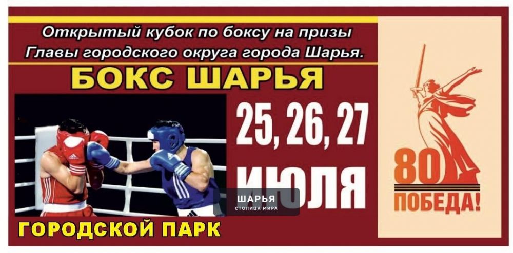 Этим летом будет проходить наш ежегодный турнир по боксу под открытым небом в городском парке… — Шарья