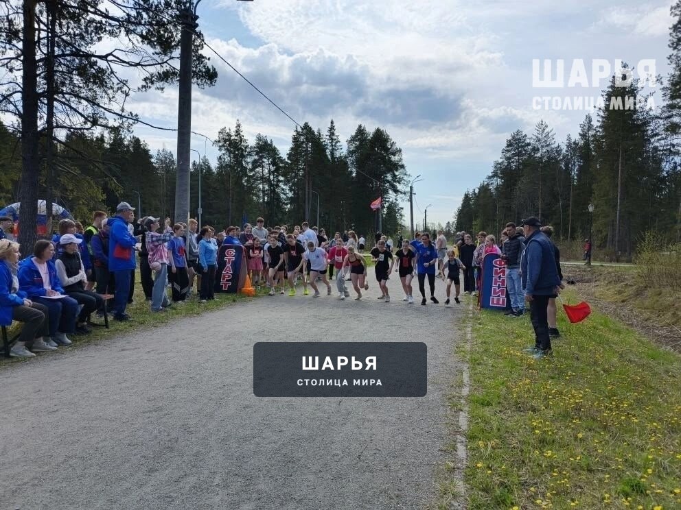Традиционная легкоатлетическая эстафета в этом году прошла в шарьинском Городском парке — Шарья — фото 2