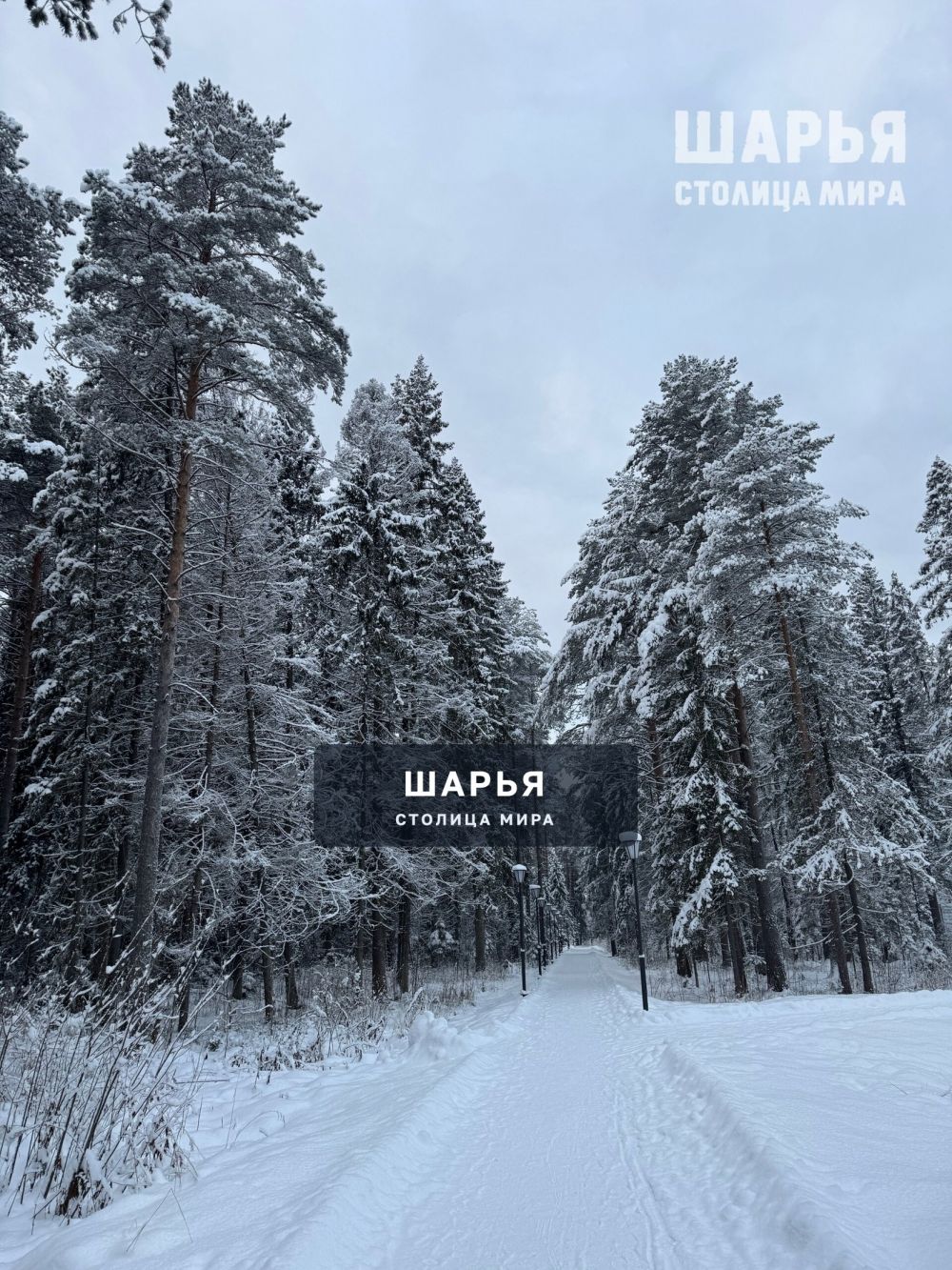 Красота какая в городском парке — Шарья — фото 6