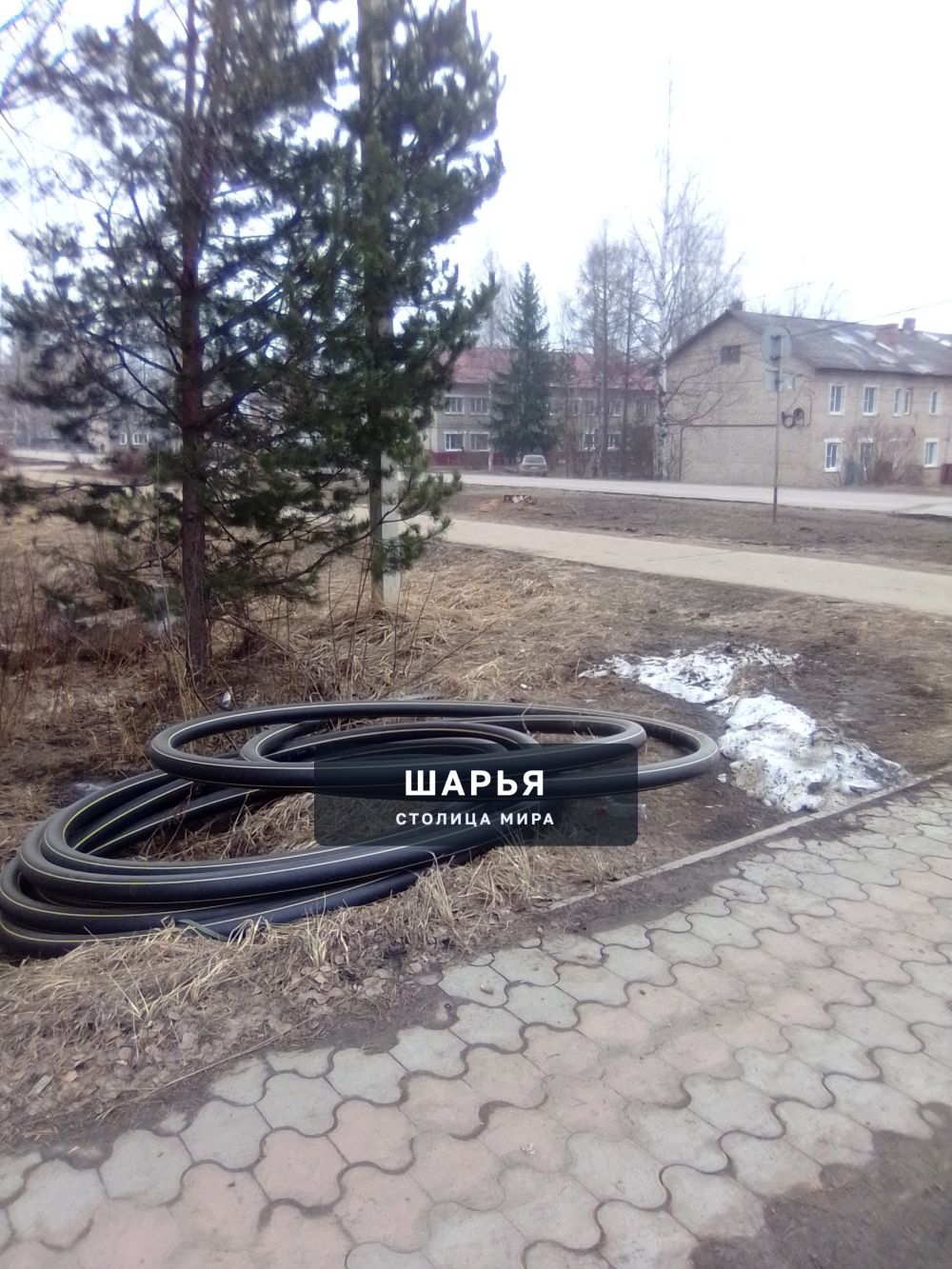 Уважаемые граждане. В этом году нам местные власти изначально обещали, что в районе… — Шарья — фото 5
