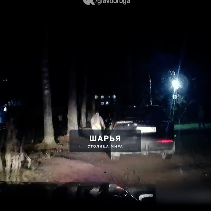В Костромской области экипаж ДПС заметил на федеральной трассе Р-243 «Кострома - Шарья - Киров… — фото 3
