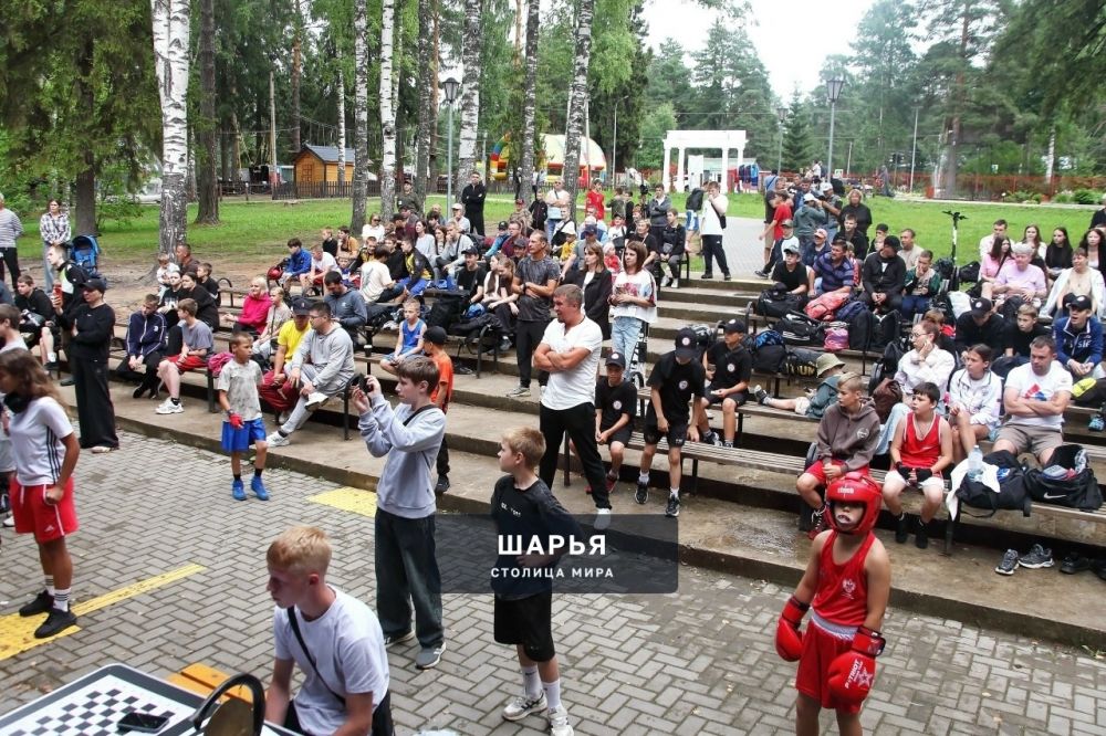 Шарья до сих пор под впечатлением от нынешнего боксерского турнира — фото 3