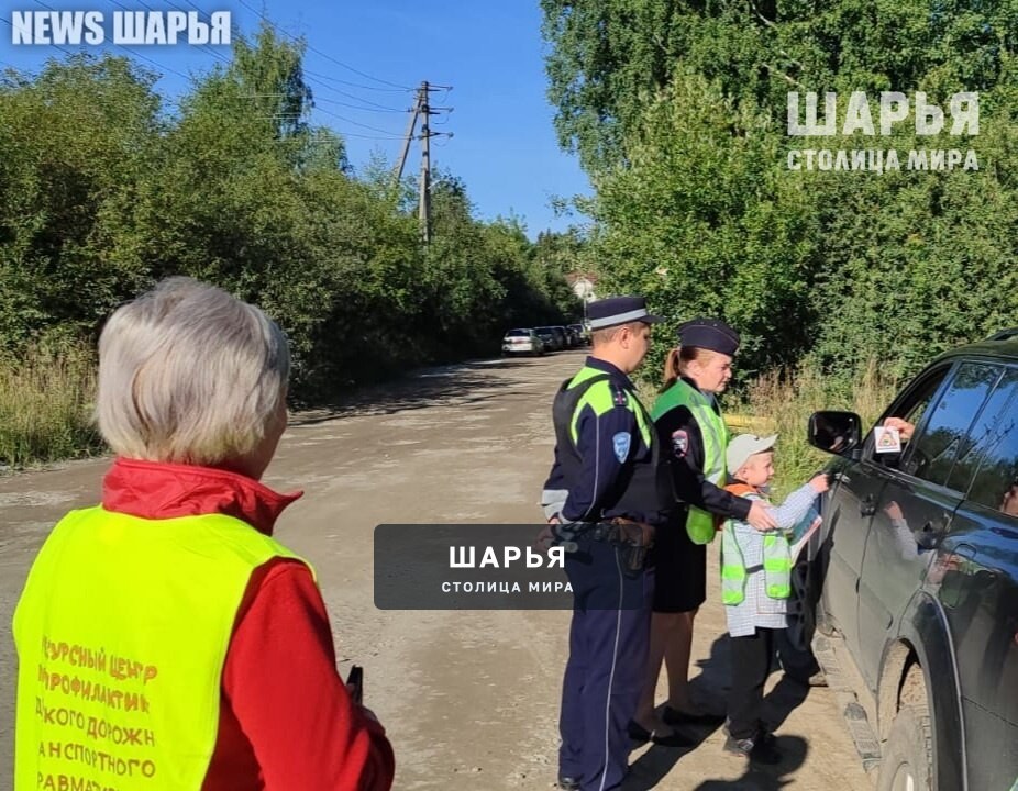 Юные шарьинцы напомнили взрослым о соблюдении дорожной безопасности — Шарья — фото 3