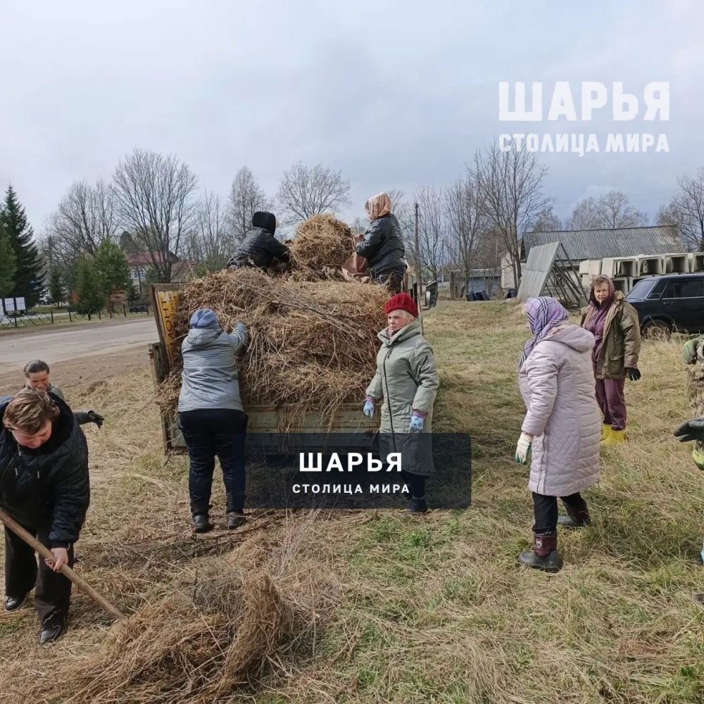 В Шарье и районе жители дружно вышли на субботники — Шарья — фото 3