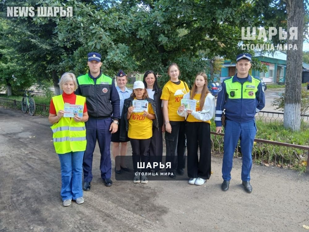 В Шарье стартовала социальная кампании «Иду в школу» — Шарья