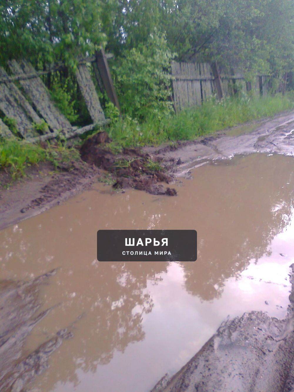 Публикация «Благоустройство сада {Надежда}» — Шарья — фото 8