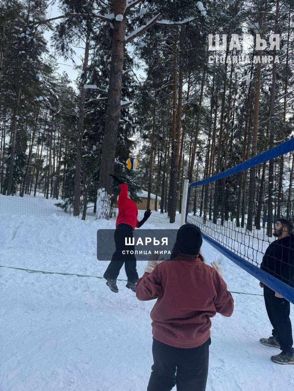 "Волейбольная Масленица" состоялась в Городском парке — Шарья — фото 4