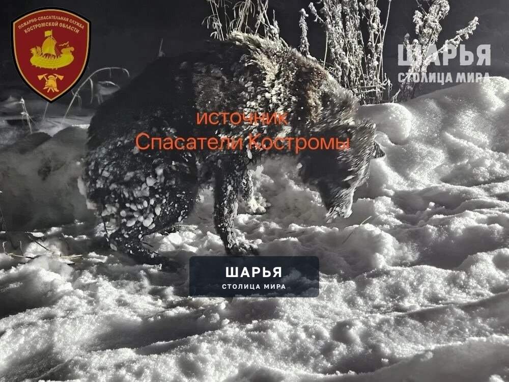 Праздники проходят для спасателей в повышенной готовности — Шарья — фото 2
