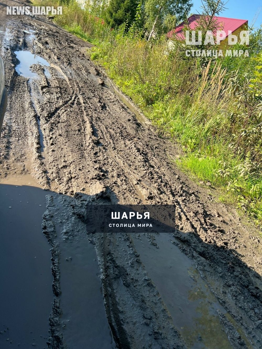По колено в грязи стало нормой для Шарьи — Шарья — фото 6